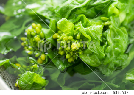 Image of spring vegetables 63725383