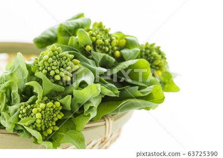 Image of spring vegetables 63725390