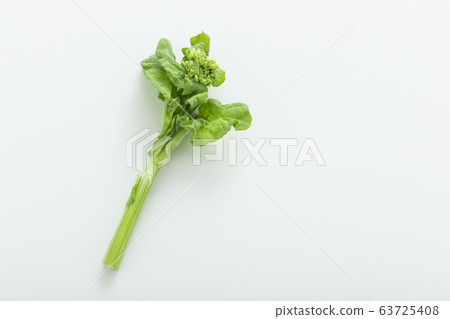Image of spring vegetables Image of spring vegetables 63725408