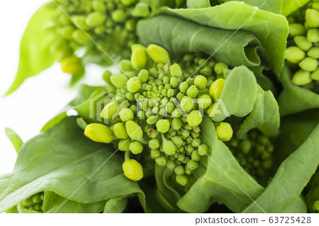 Image of spring vegetables Image of spring vegetables 63725428