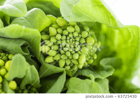 Image of spring vegetables Image of spring vegetables 63725430