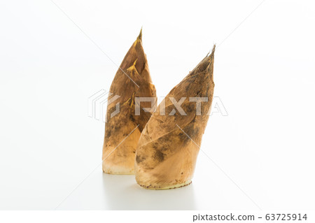 春天的味道，馬的筍（北九州市小倉市南區的特產） 63725914