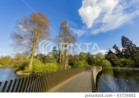 The beautiful Sackler Crossing of the Kew Garden 63726882