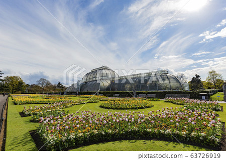 The beautiful Palm House of the Kew Garden The beautiful Palm House of the Kew Garden 63726919