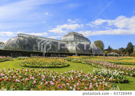 The beautiful Palm House of the Kew Garden The beautiful Palm House of the Kew Garden 63726949