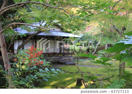 A tea room quietly nestled in a Japanese garden in the Kyu-Furukawa Garden in late autumn 63727113