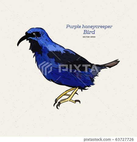 The purple honeycreeper is a small bird in the The purple honeycreeper is a small bird in the 63727726