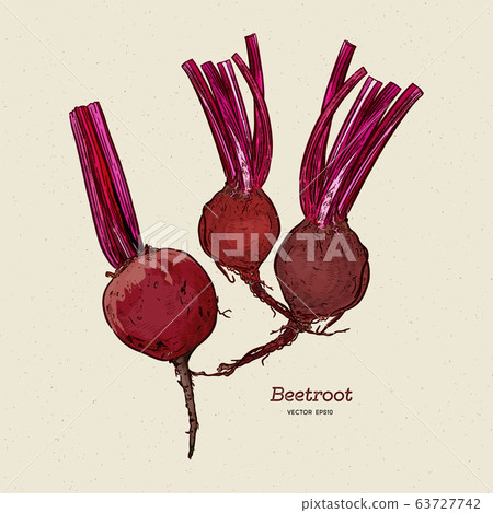 beetroot, hand draw sketch vector. 63727742
