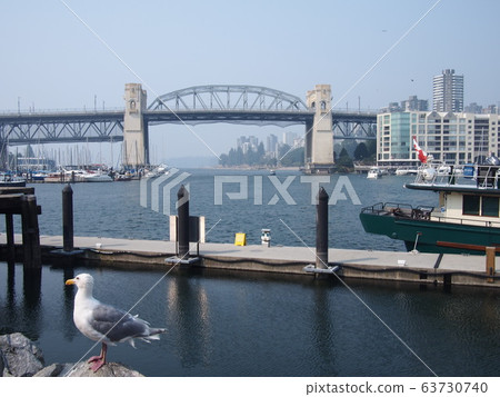 海鷗和城市 63730740