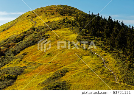Fake winding machine of grass colored leaves seen from near the evacuation hut Fake winding machine of grass colored leaves seen from near the evacuation hut 63731131