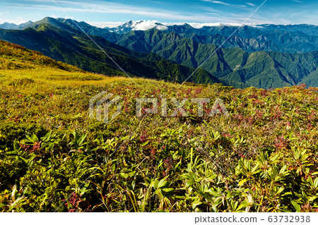A view of the autumn leaves and the Tanigawa Mountains 63732938