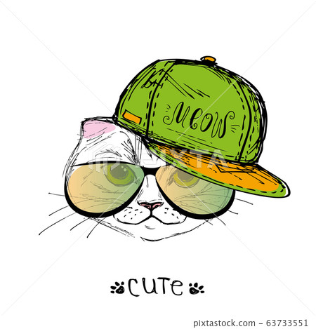Cat in a cap and glasses. Hand drawn. Cat in a cap and glasses. Hand drawn. 63733551