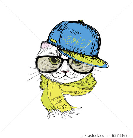 Funny fashion cat in a cap and glasses. Hand Funny fashion cat in a cap and glasses. Hand 63733653