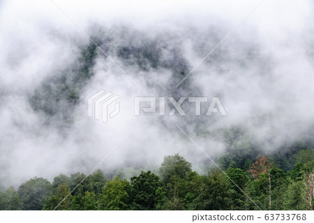 High mountain with green slopes hidden in clouds and fog 63733768