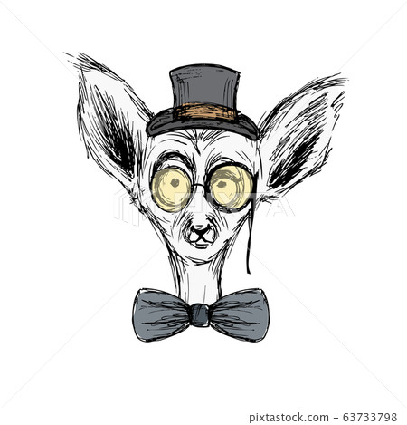 Hand Drawn Fashion Portrait of lemur Hipster with Hand Drawn Fashion Portrait of lemur Hipster with 63733798