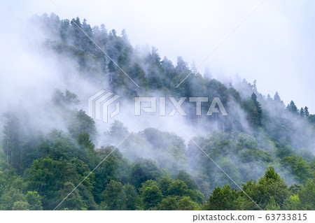 High mountain with green slopes hidden in clouds and fog High mountain with green slopes hidden in clouds and fog 63733815