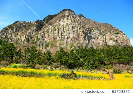 Sanbangsan 、、春季，農村，油菜籽， 63733875