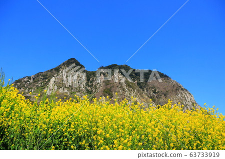 Sanbangsan 、、春季,農村,油菜籽, Sanbangsan 、、春季,農村,油菜籽, 63733919