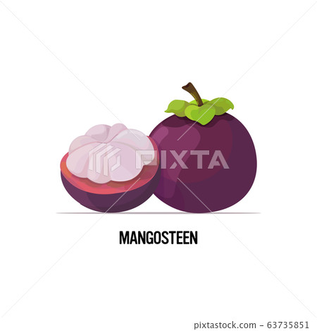 fresh juicy mangosteen icon tasty ripe fruit isolated on white background healthy food concept 63735851