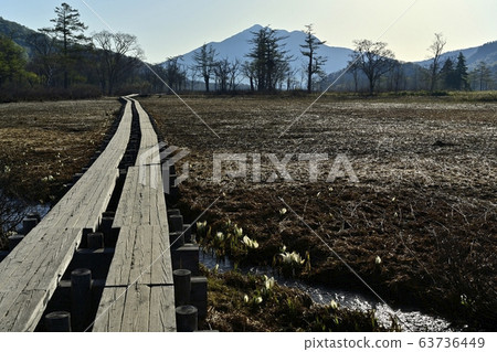 Wooden path and Hiuchigatake in Ozegahara 63736449