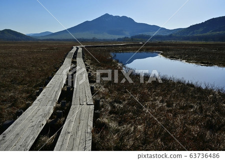 Wooden path and Hiuchigatake in Ozegahara and Iketang Wooden path and Hiuchigatake in Ozegahara and Iketang 63736486