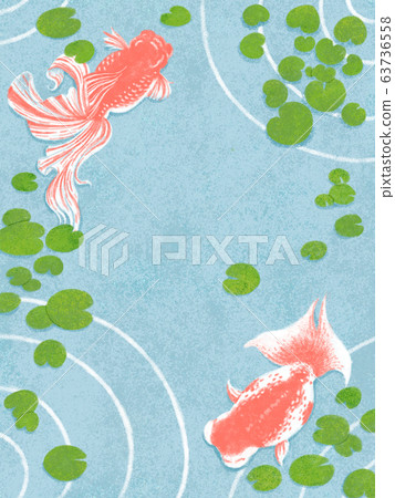 Goldfish swimming under the weeds 63736558