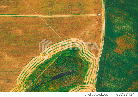 Aerial View Of Rural Landscape. Combine Harvester Working In Field, Collects Seeds. Harvesting Of Wheat In Late Summer. Agricultural Machine Collecting Golden Ripe. Bird's-eye Drone View 63738434