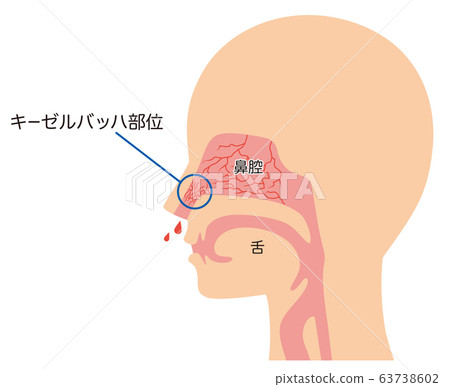 凱塞爾巴赫遺址的鼻子結構 63738602