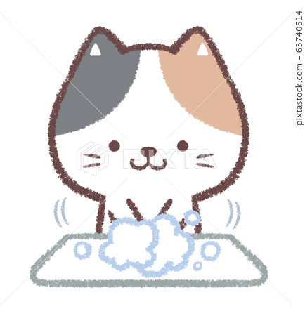 Hand-washed calico cat Hand-washed calico cat 63740514