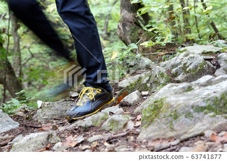 Geumgang Pine Forest Trail in Uljin, Gyeongsangbuk-do Geumgang Pine Forest Trail in Uljin, Gyeongsangbuk-do 63741877