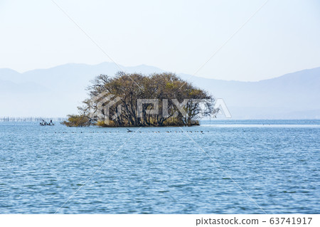 Underwater trees / Kohoku Waterbird Park / Shiga 63741917