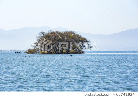 Underwater trees / Kohoku Waterbird Park / Shiga 63741924