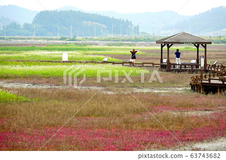 Yeomsaeng Botanical Garden in Taepyeong Salt Farm, Jeungdo, Sinan-gun, Jeollanam-do Yeomsaeng Botanical Garden in Taepyeong Salt Farm, Jeungdo, Sinan-gun, Jeollanam-do 63743682