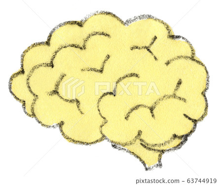 Illustrated image of the brain 63744919