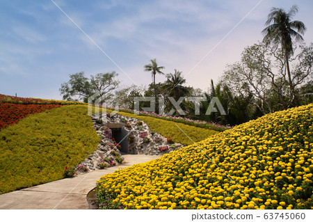 Dok kachao meadow, This is new destination and hilight of travel in Thailand 63745060