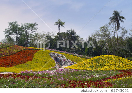 Dok kachao meadow, This is new destination and hilight of travel in Thailand 63745061