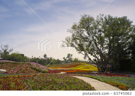 Dok kachao meadow, This is new destination and hilight of travel in Thailand 63745062