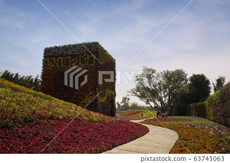 Dok kachao meadow, This is new destination and hilight of travel in Thailand 63745063