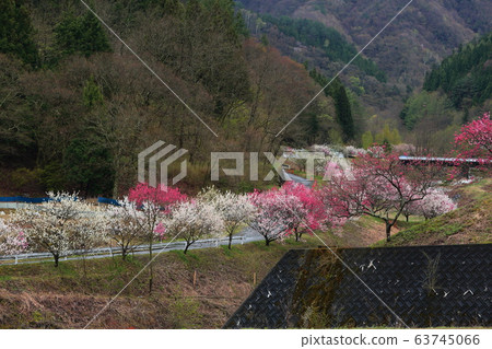 Tsukikawa Onsen Hanatomo no Sato 63745066