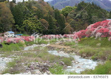 Tsukikawa Onsen Hanatomo no Sato Tsukikawa Onsen Hanatomo no Sato 63745073