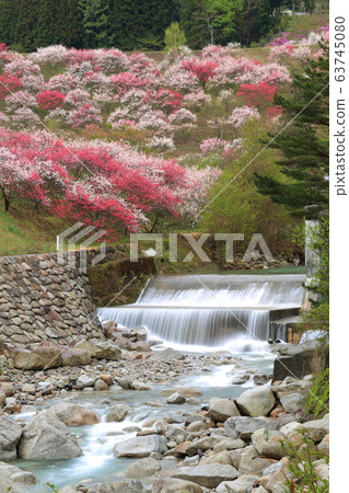 Tsukikawa Onsen Hanatomo no Sato 63745080