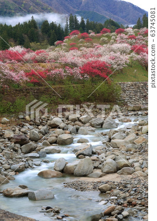 Tsukikawa Onsen Hanatomo no Sato Tsukikawa Onsen Hanatomo no Sato 63745081