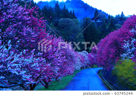Tsukikawa Onsen Hanatomo no Sato 63745244