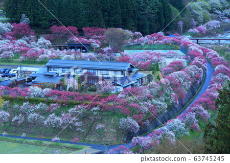 Tsukikawa Onsen Hanatomo no Sato 63745245