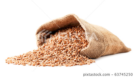 Grains of wheat spill out of the bag closeup on a Grains of wheat spill out of the bag closeup on a 63745250