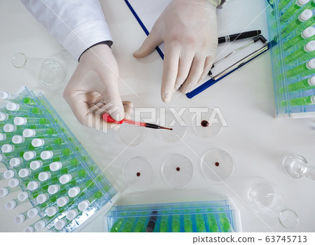 Top view of a researcher's hands in a laboratory drips a blood sample into a Petri dish. Focus on the dropper. Top view of a researcher's hands in a laboratory drips a blood sample into a Petri dish. Focus on the dropper. 63745713