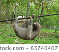 Sloth climbing rope 63746407