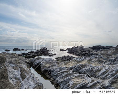 Kanagawa Prefectural Jogashima Park 63746625