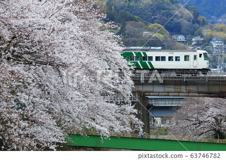 185系列櫻花湯河原 185系列櫻花湯河原 63746782