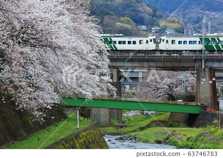 185系列櫻花湯河原 185系列櫻花湯河原 63746783